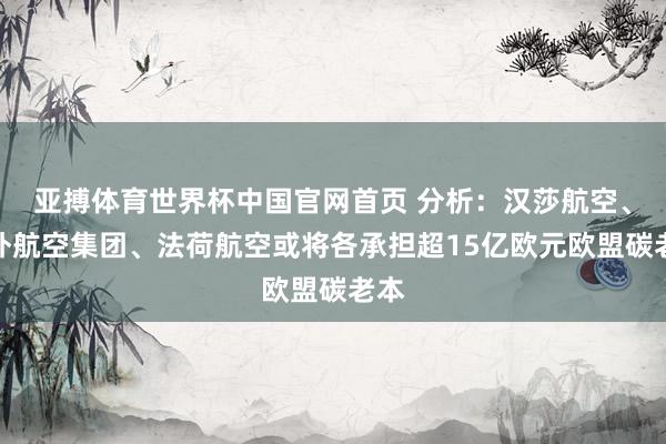 亚搏体育世界杯中国官网首页 分析:汉莎航空、国外航空集团、法荷航空或将各承担超15亿欧元欧盟碳老本