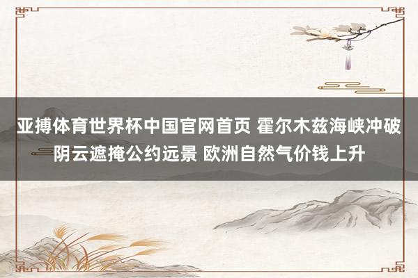 亚搏体育世界杯中国官网首页 霍尔木兹海峡冲破阴云遮掩公约远景 欧洲自然气价钱上升