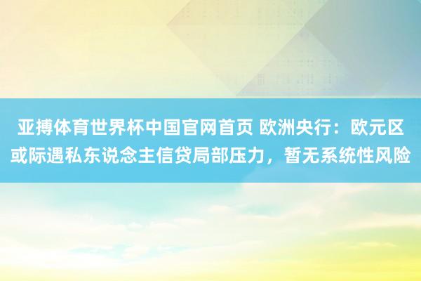 亚搏体育世界杯中国官网首页 欧洲央行:欧元区或际遇私东说念主信贷局部压力,暂无系统性风险