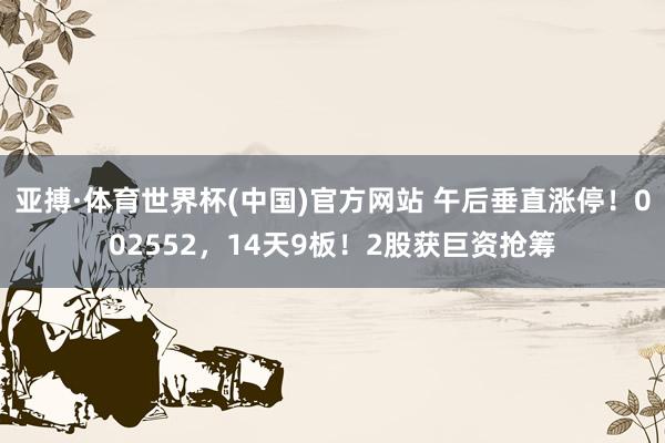 亚搏·体育世界杯(中国)官方网站 午后垂直涨停!002552,14天9板!2股获巨资抢筹