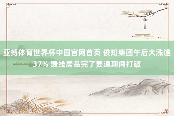亚搏体育世界杯中国官网首页 俊知集团午后大涨逾37% 馈线居品完了要道期间打破