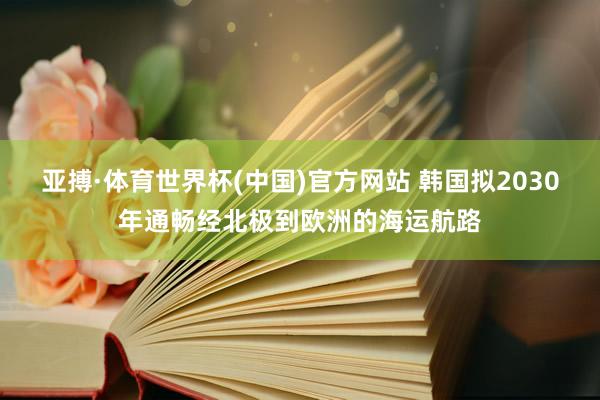 亚搏·体育世界杯(中国)官方网站 韩国拟2030年通畅经北极到欧洲的海运航路