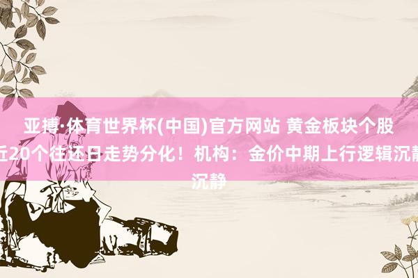 亚搏·体育世界杯(中国)官方网站 黄金板块个股近20个往还日走势分化!机构:金价中期上行逻辑沉静
