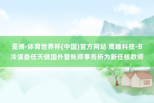 亚搏·体育世界杯(中国)官方网站 鹰瞳科技-B冷漠委任天健国外管帐师事务所为新任核数师