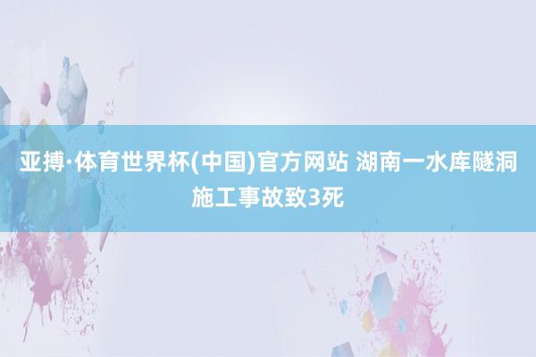 亚搏·体育世界杯(中国)官方网站 湖南一水库隧洞施工事故致3死
