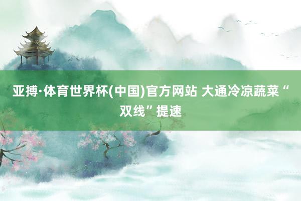 亚搏·体育世界杯(中国)官方网站 大通冷凉蔬菜“双线”提速