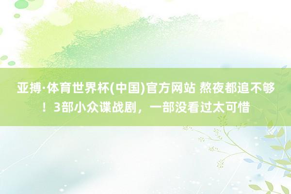 亚搏·体育世界杯(中国)官方网站 熬夜都追不够!3部小众谍战剧,一部没看过太可惜