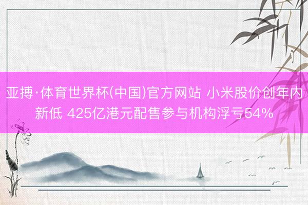 亚搏·体育世界杯(中国)官方网站 小米股价创年内新低 425