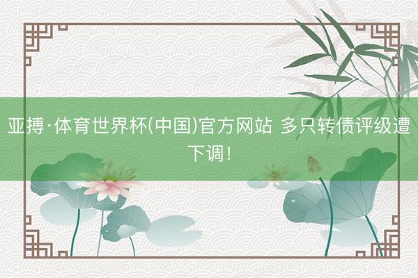 亚搏·体育世界杯(中国)官方网站 多只转债评级遭下调!