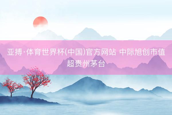 亚搏·体育世界杯(中国)官方网站 中际旭创市值超贵州茅台